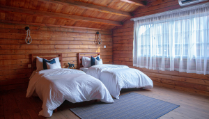 Lorem Ipsum Dolor Sit Amet Consectur Adenscing Ut